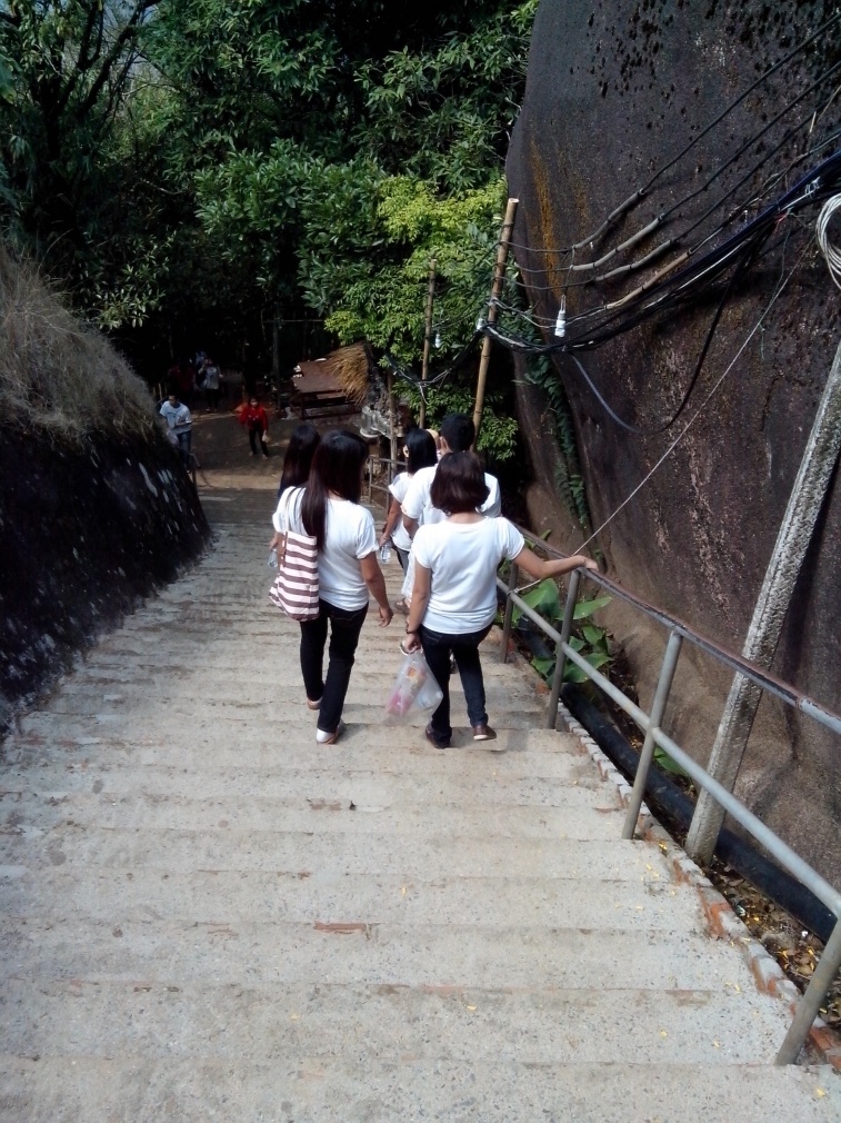 ชื่อ:  IMG_20130127_105934.jpg
ครั้ง: 922
ขนาด:  363.6 กิโลไบต์