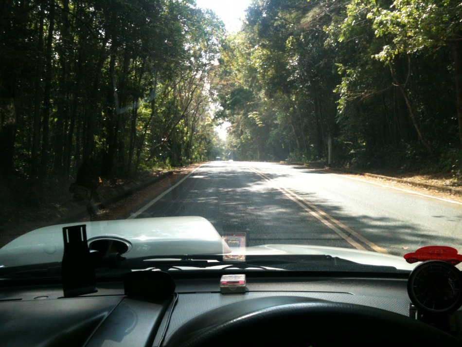 ชื่อ:  IMG_5047.jpg
ครั้ง: 761
ขนาด:  253.8 กิโลไบต์