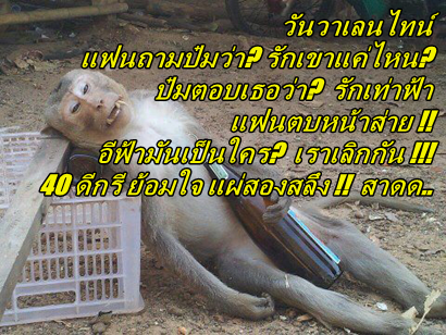 ชื่อ:  valentine.png
ครั้ง: 456
ขนาด:  256.0 กิโลไบต์
