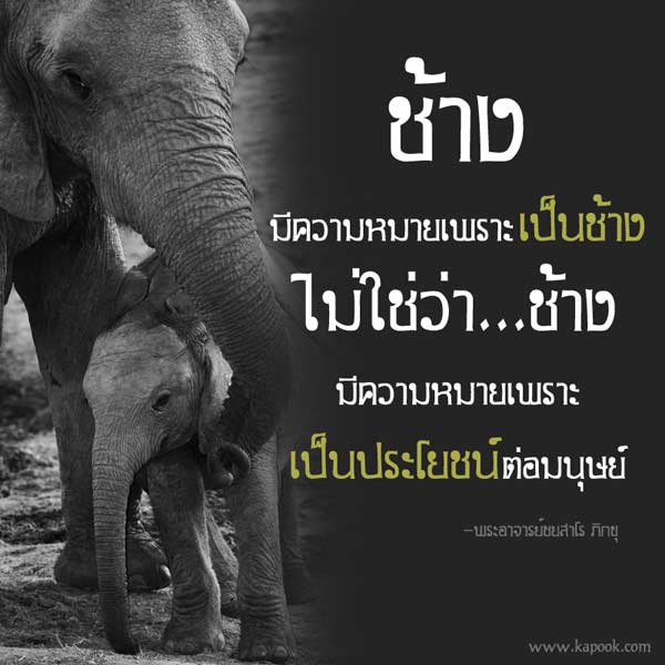 ชื่อ:  elephant.jpg
ครั้ง: 342
ขนาด:  40.4 กิโลไบต์