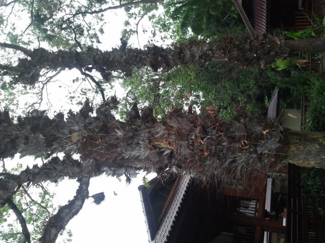 ชื่อ:  รูป​ถ่าย1573.jpg
ครั้ง: 303
ขนาด:  259.7 กิโลไบต์