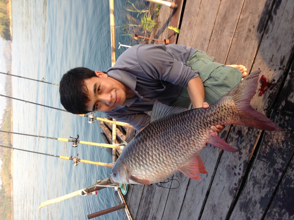 ชื่อ:  IMG_0677.jpg
ครั้ง: 1412
ขนาด:  274.4 กิโลไบต์