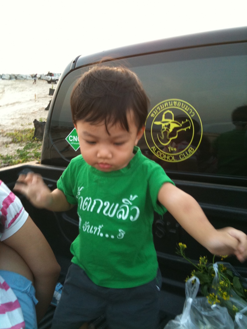 ชื่อ:  IMG_0239.jpg
ครั้ง: 224
ขนาด:  297.5 กิโลไบต์