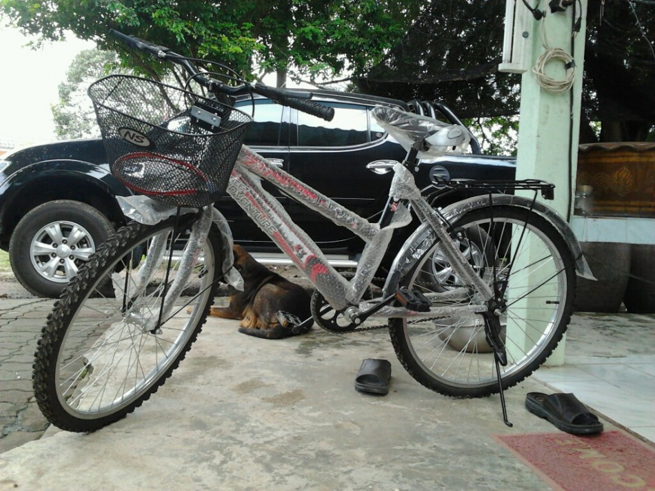 ชื่อ:  881946_537850856259389_1195686862_o.jpg
ครั้ง: 235
ขนาด:  303.1 กิโลไบต์