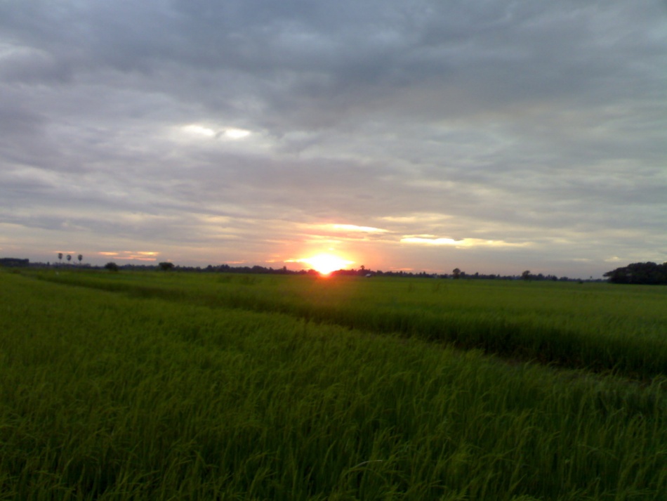 ชื่อ:  060520121091.jpg
ครั้ง: 1182
ขนาด:  135.1 กิโลไบต์