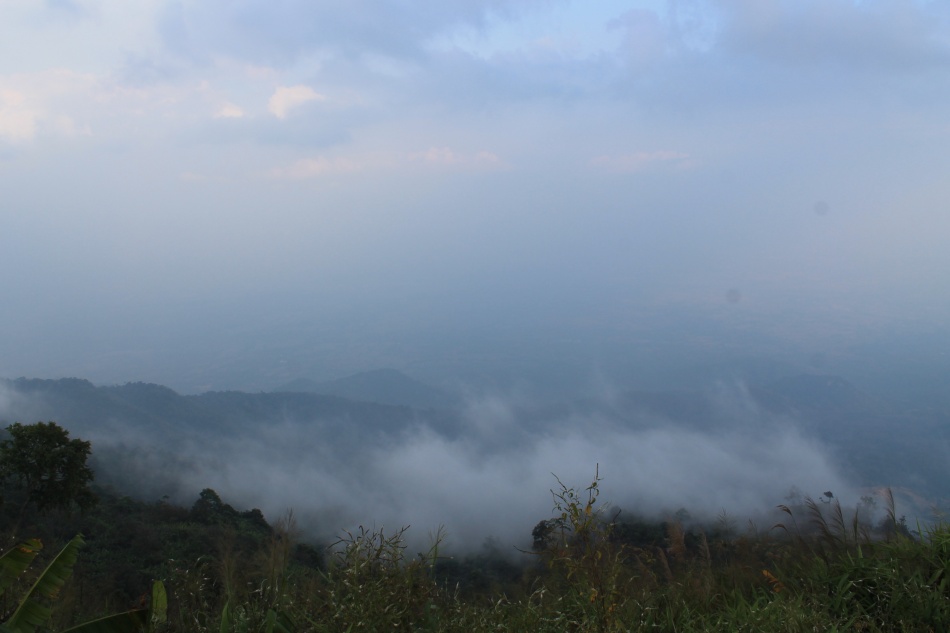 ชื่อ:  IMG_4189.jpg
ครั้ง: 721
ขนาด:  99.7 กิโลไบต์