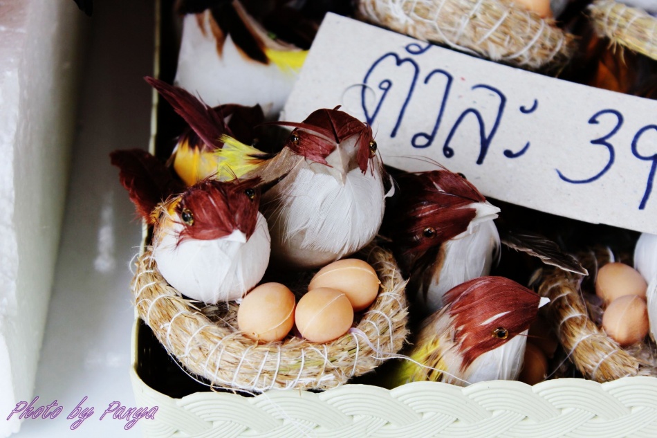 ชื่อ:  IMG_0708.jpg
ครั้ง: 977
ขนาด:  202.0 กิโลไบต์