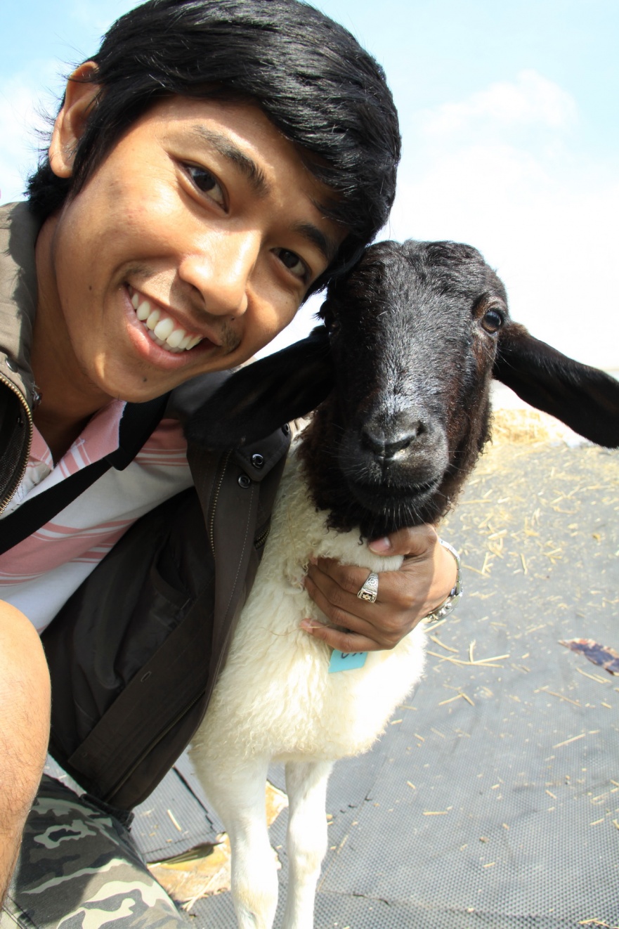 ชื่อ:  IMG_4773_resize.jpg
ครั้ง: 258
ขนาด:  351.7 กิโลไบต์