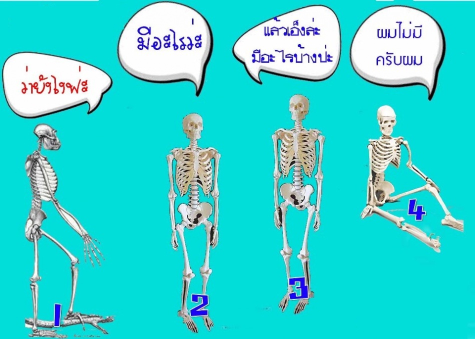 ชื่อ:  543833_520708084620013_1164952353_n.jpg
ครั้ง: 6425
ขนาด:  152.8 กิโลไบต์