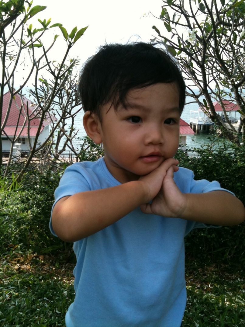 ชื่อ:  IMG_0264.jpg
ครั้ง: 201
ขนาด:  359.4 กิโลไบต์