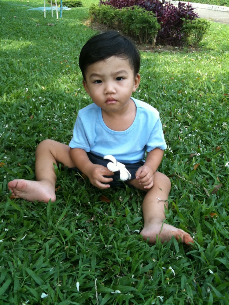 ชื่อ:  IMG_0266.jpg
ครั้ง: 178
ขนาด:  369.2 กิโลไบต์
