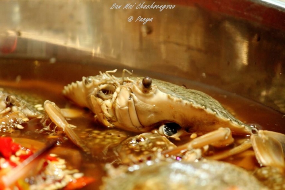 ชื่อ:  IMG_1941.jpg
ครั้ง: 589
ขนาด:  150.2 กิโลไบต์