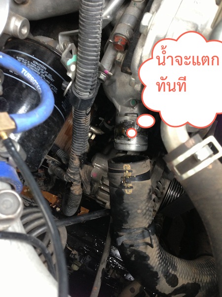 ชื่อ:  IMG_6101.jpg
ครั้ง: 16327
ขนาด:  93.0 กิโลไบต์