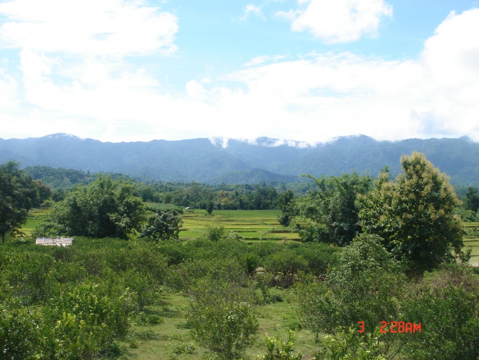 ชื่อ:  DSC02008.jpg
ครั้ง: 1176
ขนาด:  271.1 กิโลไบต์