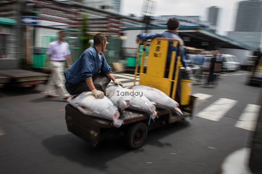 ชื่อ:  IMG_7958.jpg
ครั้ง: 668
ขนาด:  174.5 กิโลไบต์