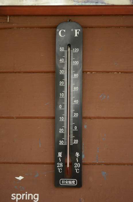 ชื่อ:  DSC_0043-700.jpg
ครั้ง: 1117
ขนาด:  23.2 กิโลไบต์