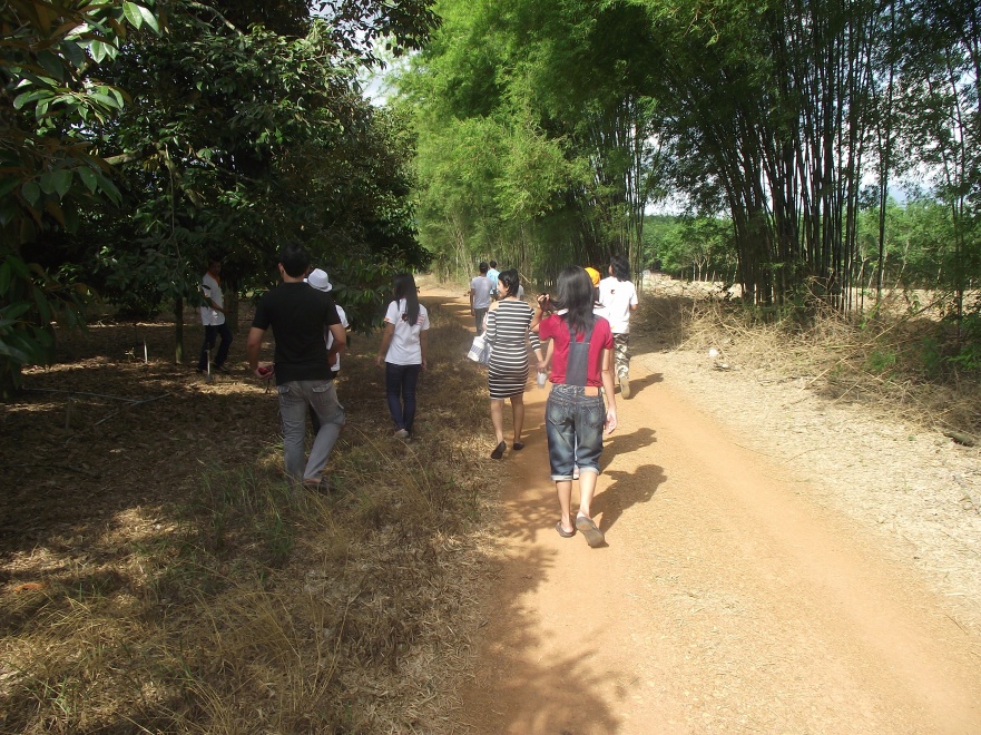 ชื่อ:  DSCF9254.jpg
ครั้ง: 592
ขนาด:  342.6 กิโลไบต์