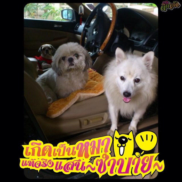 ชื่อ:  532071_505407892840464_1442724294_n.jpg
ครั้ง: 355
ขนาด:  68.8 กิโลไบต์
