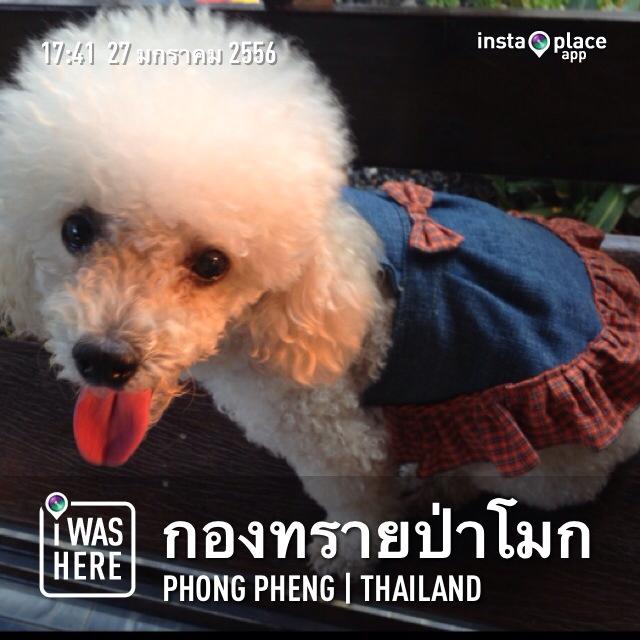 ชื่อ:  67046_537495142947753_1022803873_n.jpg
ครั้ง: 335
ขนาด:  52.1 กิโลไบต์