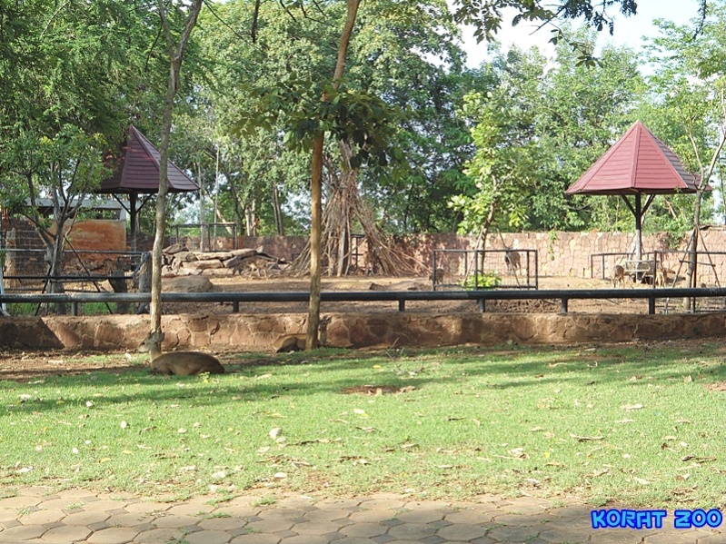 ชื่อ:  DSC02048.jpg
ครั้ง: 236
ขนาด:  318.0 กิโลไบต์
