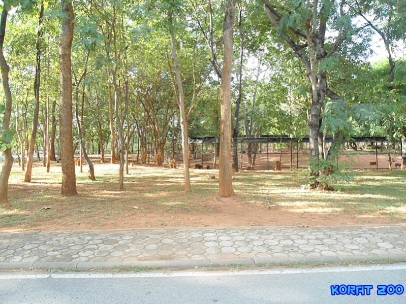 ชื่อ:  DSC02053.jpg
ครั้ง: 222
ขนาด:  273.3 กิโลไบต์