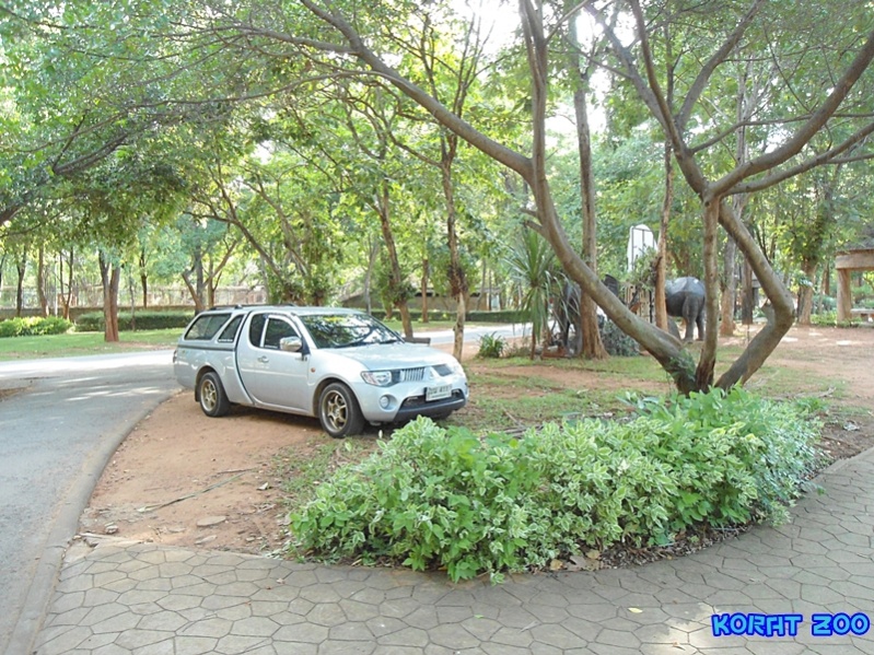 ชื่อ:  DSC02054.jpg
ครั้ง: 227
ขนาด:  278.2 กิโลไบต์