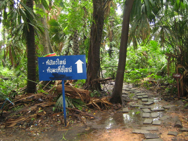 ชื่อ:  IMG_0194.jpg
ครั้ง: 12406
ขนาด:  115.3 กิโลไบต์