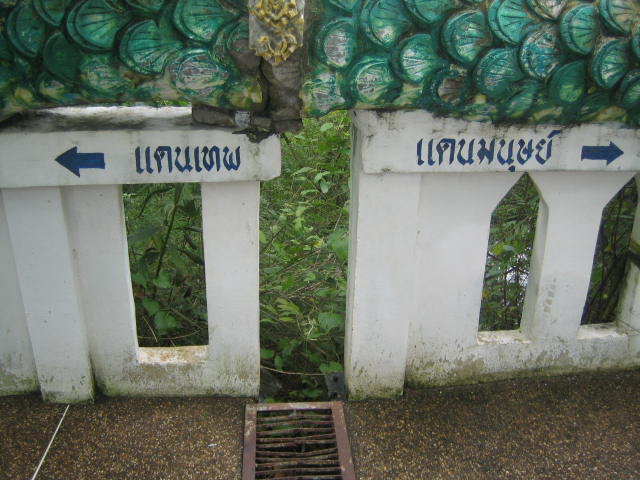 ชื่อ:  IMG_0206.jpg
ครั้ง: 891
ขนาด:  73.0 กิโลไบต์