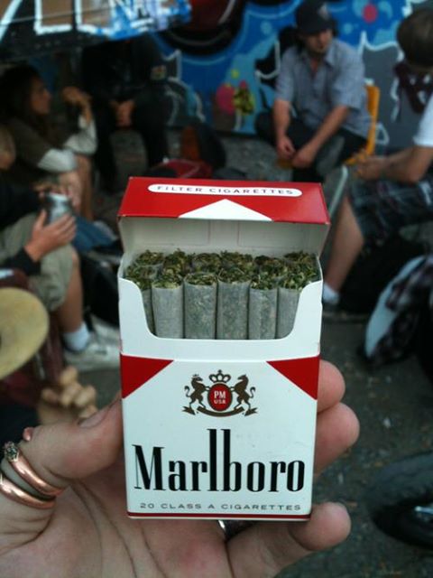 ชื่อ:  marlboro.jpg
ครั้ง: 599
ขนาด:  44.0 กิโลไบต์