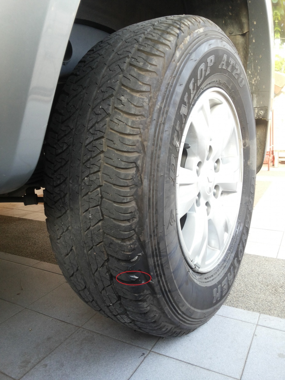 ชื่อ:  20130703_062922.jpg
ครั้ง: 1472
ขนาด:  343.5 กิโลไบต์