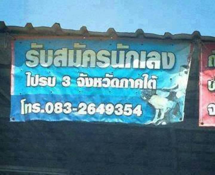 ชื่อ:  ใต้.jpg
ครั้ง: 400
ขนาด:  45.5 กิโลไบต์