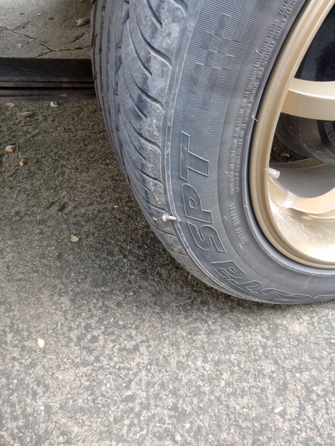 ชื่อ:  DSC_0015.JPG
ครั้ง: 565
ขนาด:  163.4 กิโลไบต์