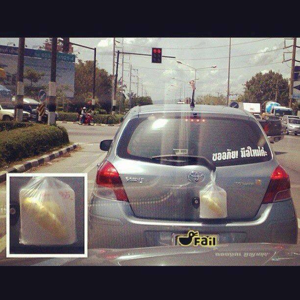 ชื่อ:  ทุเรียน.jpg
ครั้ง: 1891
ขนาด:  63.9 กิโลไบต์