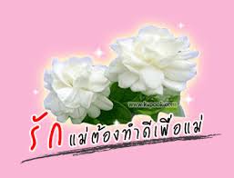 ชื่อ:  images.jpeg
ครั้ง: 285
ขนาด:  6.0 กิโลไบต์