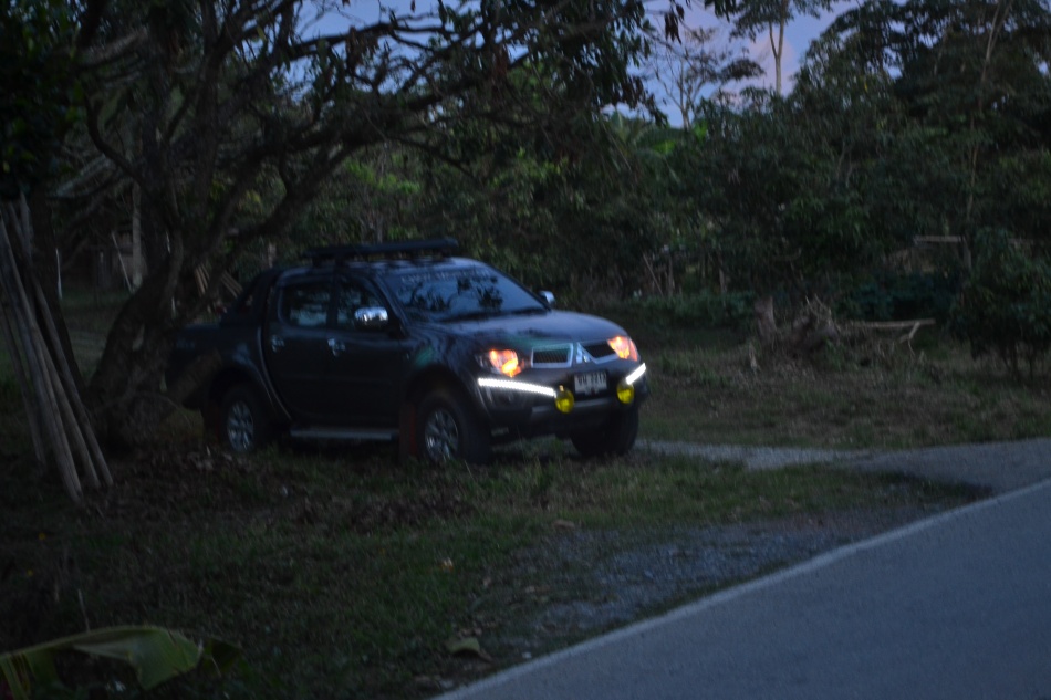 ชื่อ:  DSC_0213.jpg
ครั้ง: 210
ขนาด:  174.4 กิโลไบต์