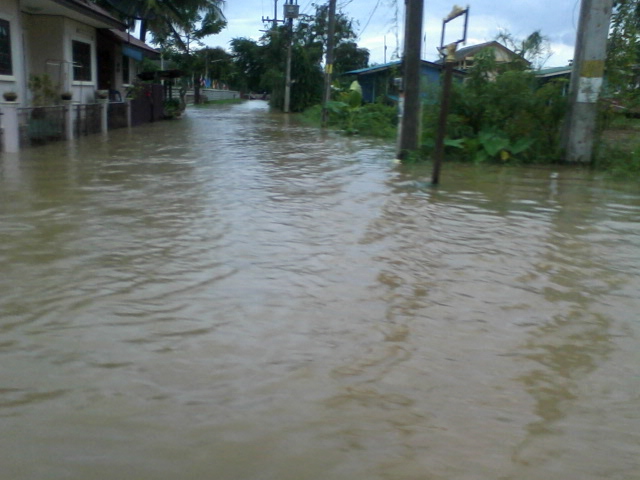 ชื่อ:  รูป​ถ่0087.jpg
ครั้ง: 1195
ขนาด:  134.8 กิโลไบต์