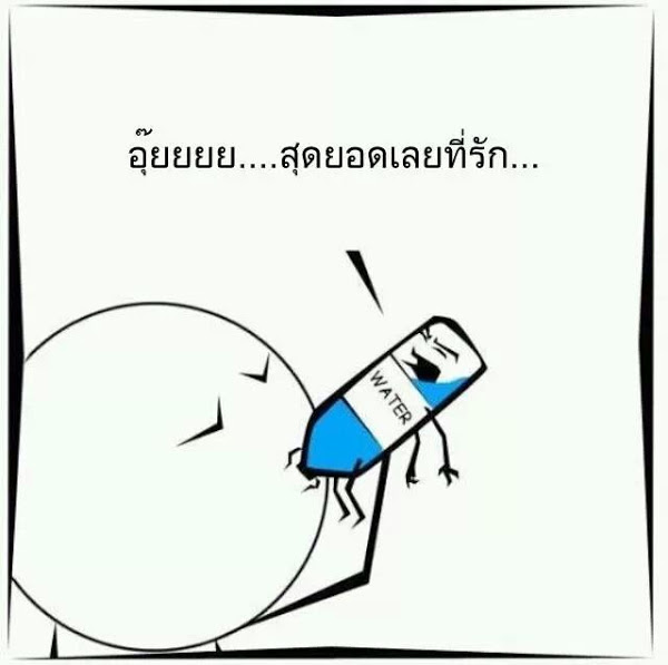 ชื่อ:  media-20130919 (2).jpg
ครั้ง: 393
ขนาด:  37.4 กิโลไบต์