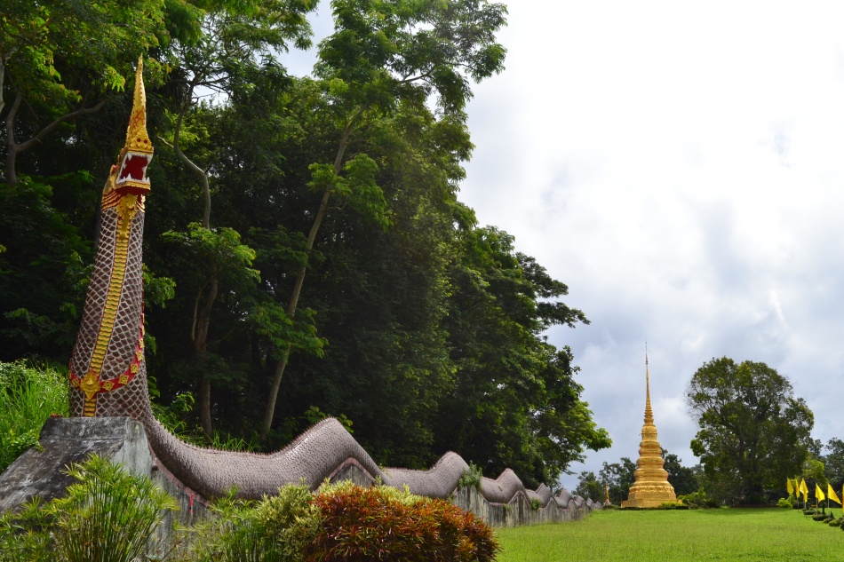 ชื่อ:  DSC_0430.jpg
ครั้ง: 1085
ขนาด:  265.3 กิโลไบต์