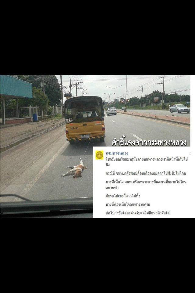 ชื่อ:  1379371_617876454929204_1195323728_n.jpg
ครั้ง: 384
ขนาด:  50.1 กิโลไบต์