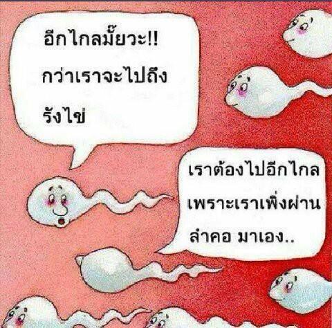 ชื่อ:  sprem.jpg
ครั้ง: 322
ขนาด:  55.5 กิโลไบต์