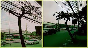 ชื่อ:  tree.jpg
ครั้ง: 831
ขนาด:  13.6 กิโลไบต์