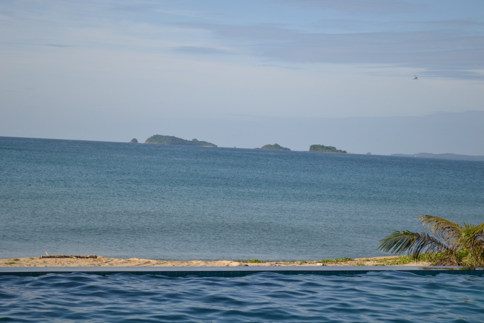 ชื่อ:  DSC_3680.jpg
ครั้ง: 413
ขนาด:  160.4 กิโลไบต์
