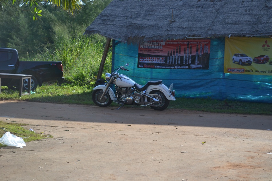 ชื่อ:  DSC_3689.jpg
ครั้ง: 432
ขนาด:  233.6 กิโลไบต์