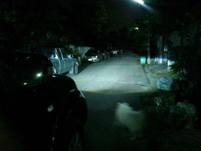 ชื่อ:  DSC_3958.JPG
ครั้ง: 1365
ขนาด:  39.4 กิโลไบต์