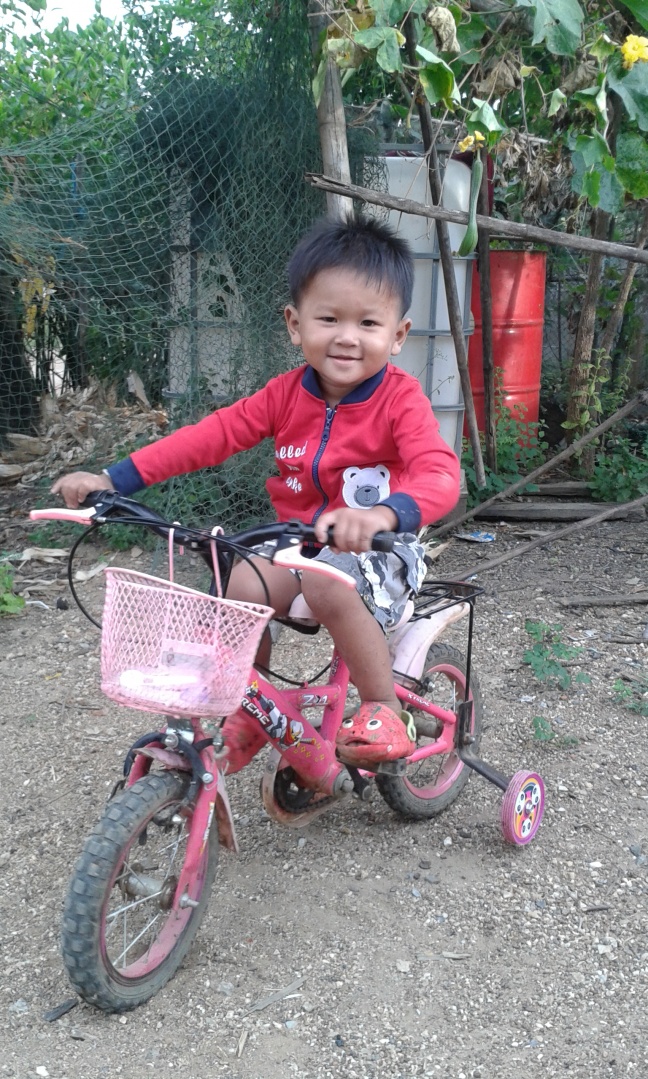 ชื่อ:  20131110_071406.jpg
ครั้ง: 344
ขนาด:  390.4 กิโลไบต์