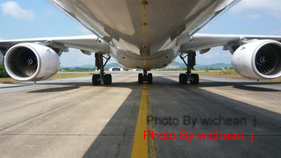 ชื่อ:  Giant Bird.jpg
ครั้ง: 267
ขนาด:  157.2 กิโลไบต์