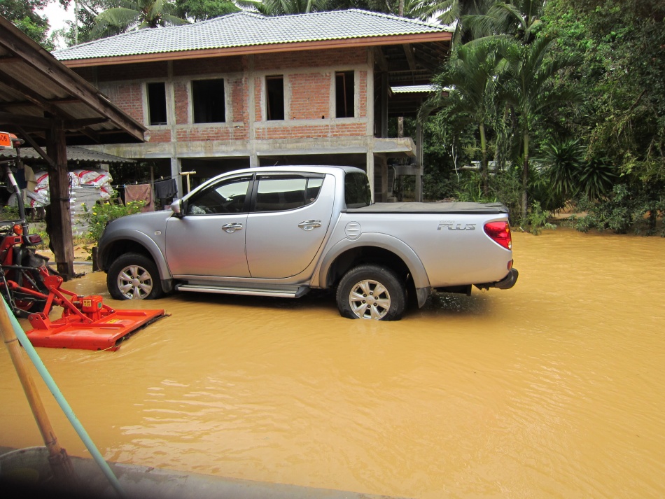 ชื่อ:  IMG_2638.jpg
ครั้ง: 193
ขนาด:  275.7 กิโลไบต์
