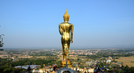 ชื่อ:  DSC_5630.jpg
ครั้ง: 1565
ขนาด:  142.0 กิโลไบต์