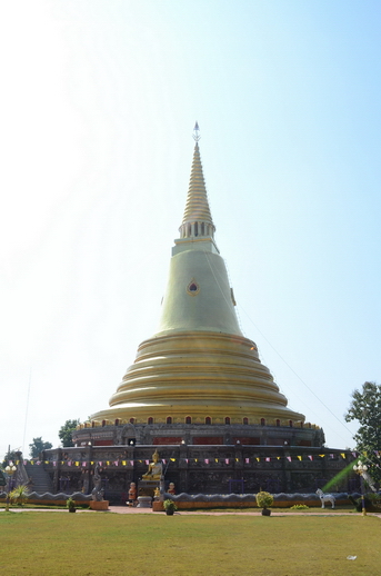 ชื่อ:  DSC_5685.JPG
ครั้ง: 1459
ขนาด:  125.5 กิโลไบต์