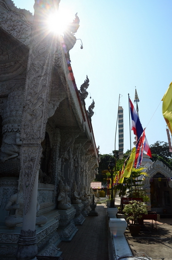 ชื่อ:  DSC_5702.JPG
ครั้ง: 1462
ขนาด:  169.4 กิโลไบต์